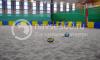 песчаная площадка,зенит, центр развития детского спорта, академия тарпищева, большой, настольный теннис, красногорск